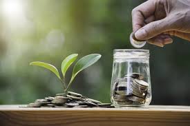 Empowering Financial Growth: Introducing the Tnest SACCO Smart Co-Operative Solution